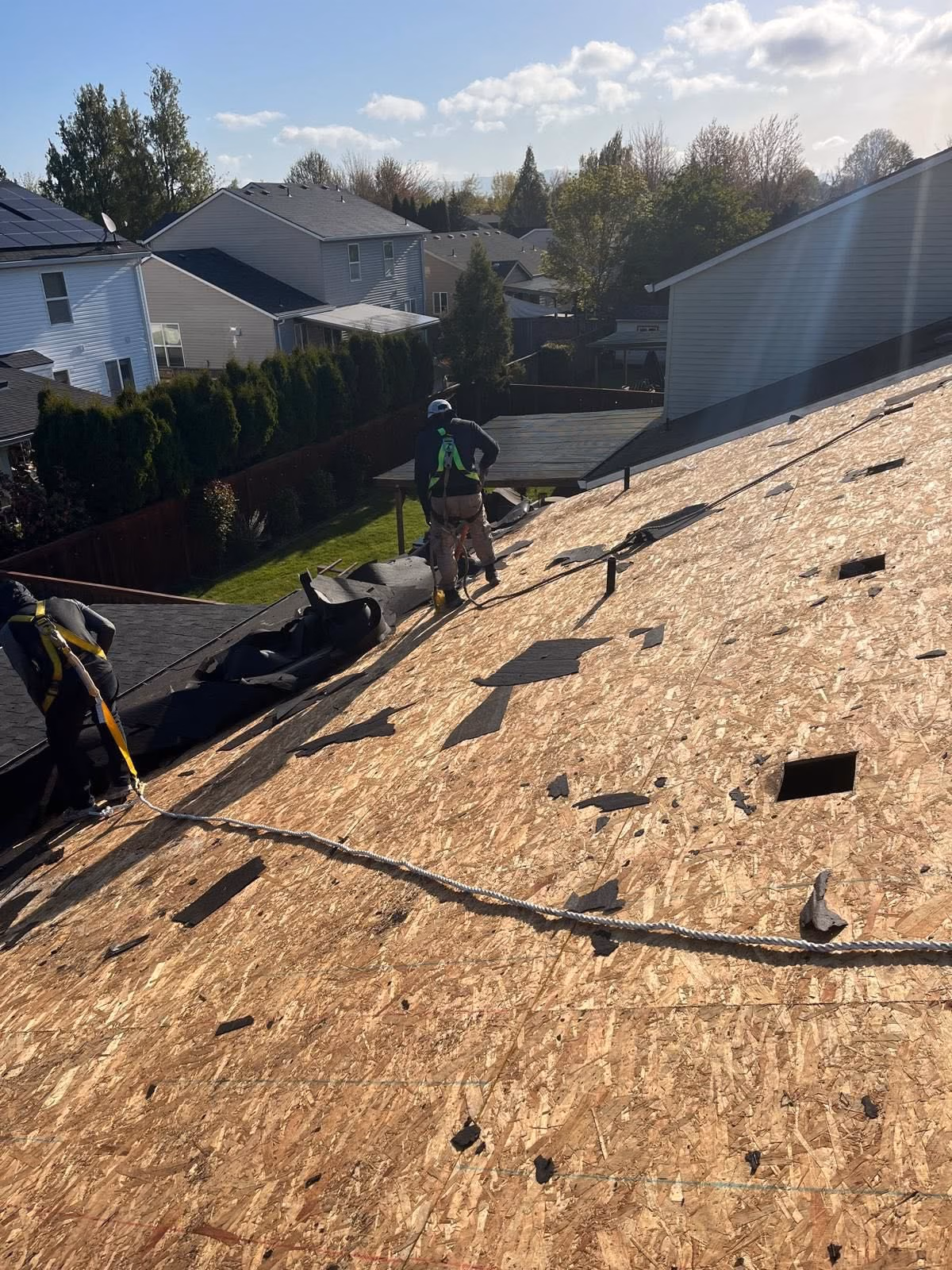 Two workers wearing safety harnesses removing old roofing from a large wooden roof in a sunny neighborhood.